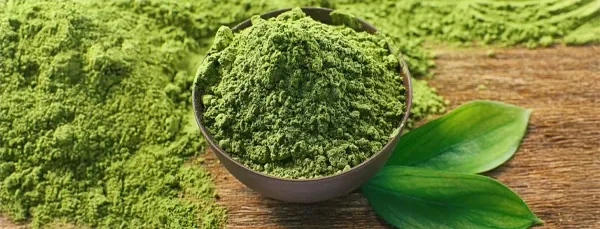 Green Tea Extract ingredient